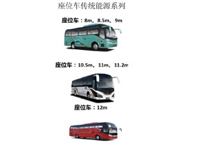 座位車傳統(tǒng)能源系列